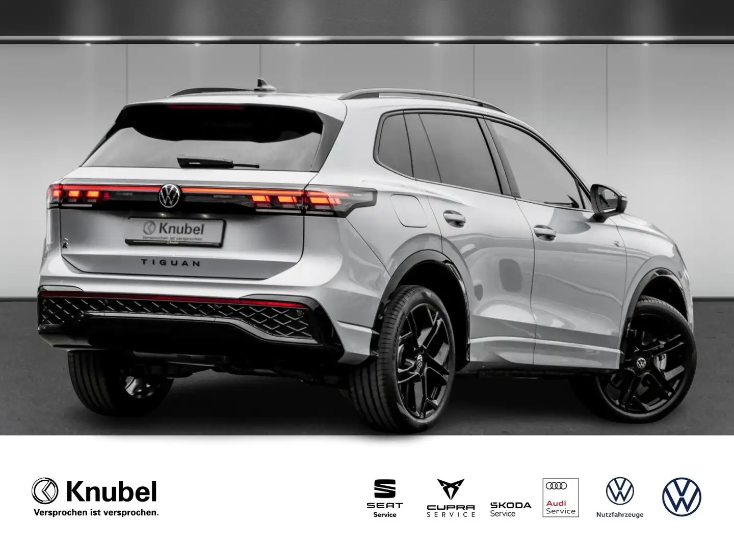 Volkswagen Tiguan R-Line 2.0 TDI DSG 4M 20" AHK HarmanKardon IQ.L... Argent - 2