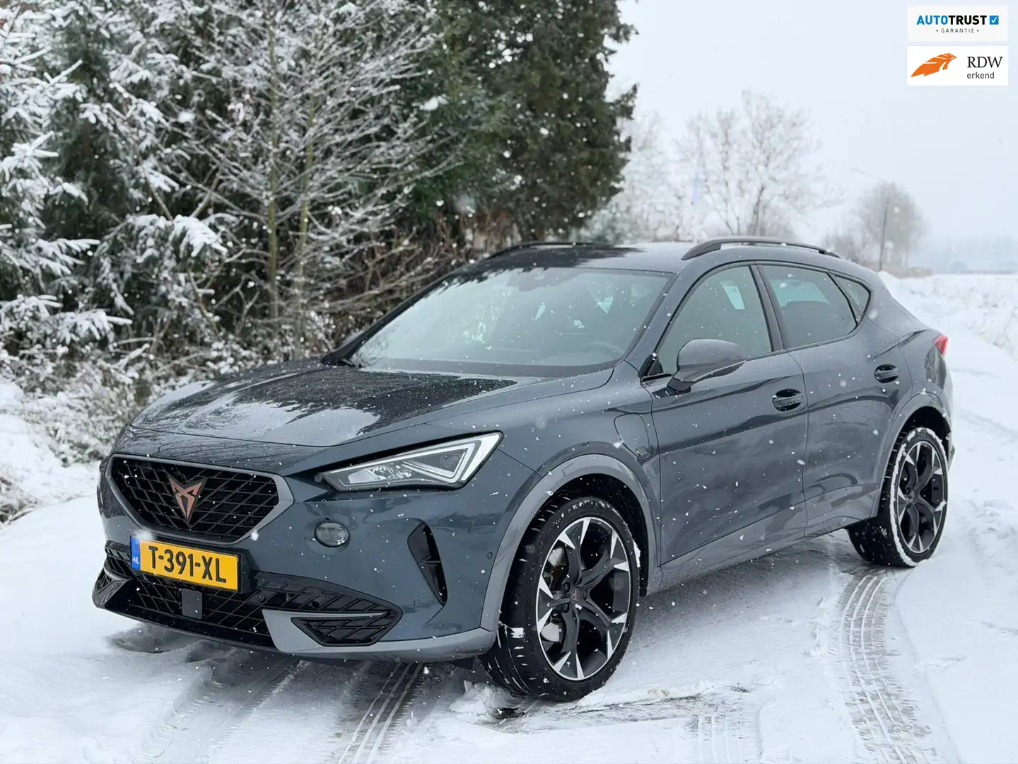 CUPRA Sonstige 1.4 e-Hybrid Adrenaline, panoramadak, vol lederen Grau - 1