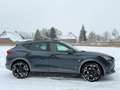 CUPRA Sonstige 1.4 e-Hybrid Adrenaline, panoramadak, vol lederen Grau - thumbnail 11