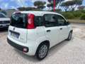 Fiat Panda 1.0 FireFly S&S Hybrid Blanc - thumbnail 6