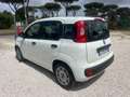 Fiat Panda 1.0 FireFly S&S Hybrid Blanc - thumbnail 5