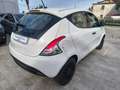 Lancia Ypsilon 1.2 69 CV 5p. S&S Elefantino Blu Bianco - thumbnail 6