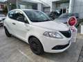 Lancia Ypsilon 1.2 69 CV 5p. S&S Elefantino Blu Bianco - thumbnail 1
