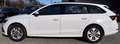 Skoda Octavia Combi 2,0 TDI Ambition Weiß - thumbnail 3