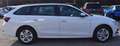 Skoda Octavia Combi 2,0 TDI Ambition Weiß - thumbnail 7