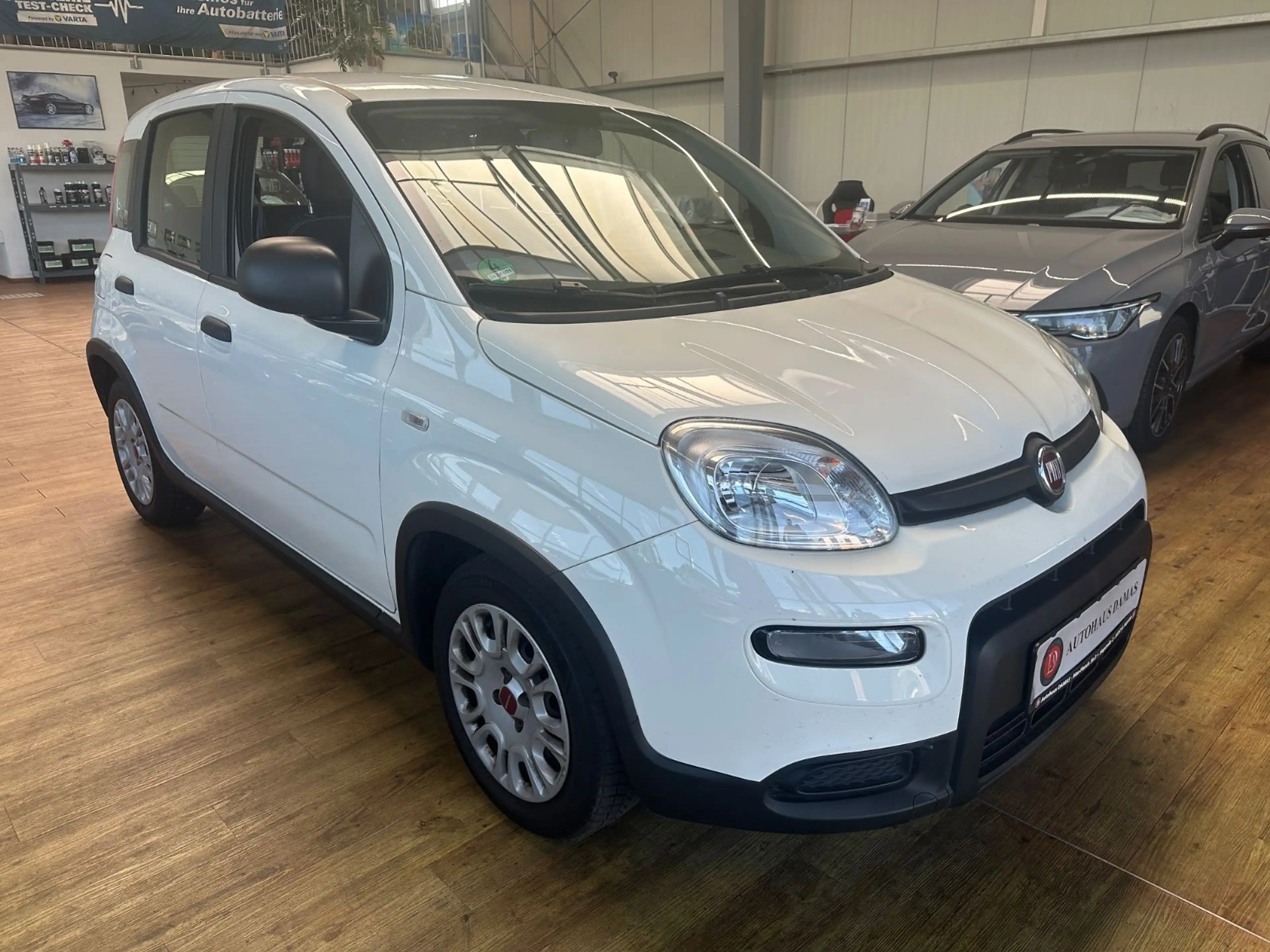 Fiat Panda Base