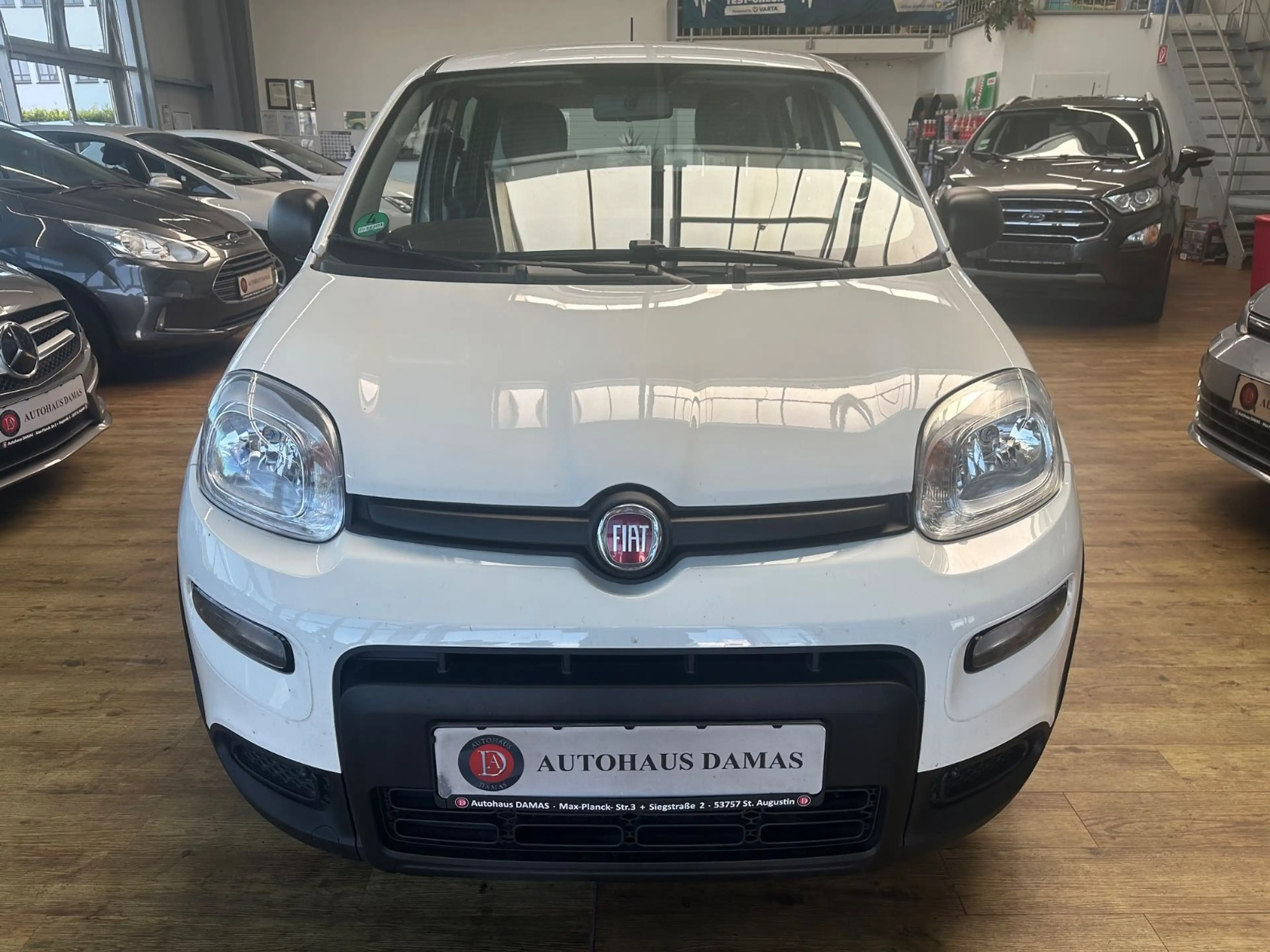 Fiat Panda Base — photo 6