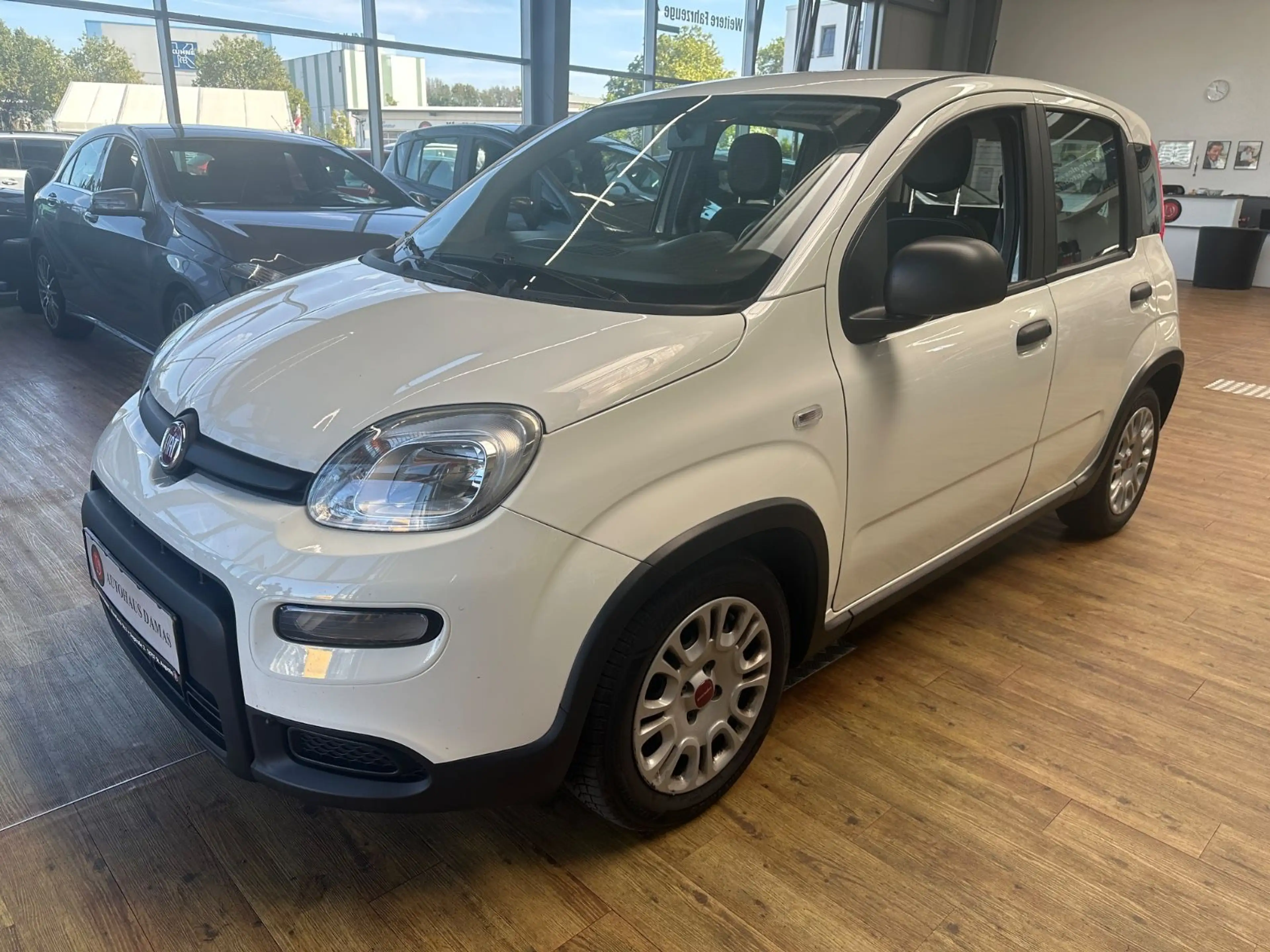Fiat Panda Base — photo 5