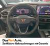 CUPRA Formentor VZ5 2.5 TSI 390 PS DSG 4Drive Grau - thumbnail 12