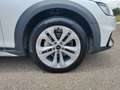 Audi A4 allroad A4 allroad 40 TDI q. S-Tronic, LED, ACC, CarPlay Blanco - thumbnail 16