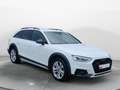 Audi A4 allroad A4 allroad 40 TDI q. S-Tronic, LED, ACC, CarPlay Blanco - thumbnail 6
