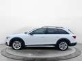 Audi A4 allroad A4 allroad 40 TDI q. S-Tronic, LED, ACC, CarPlay Blanco - thumbnail 2