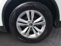 Renault Koleos RENAULT KOLEOS ZEN dCi 130PS Blanc - thumbnail 13