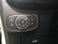Ford Fiesta Fiesta 1.1 85 CV 5 porte ST-Line Blanc - thumbnail 9