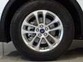 Ford Kuga Titanium 2.5 Duratec PHEV 165kW Auto Blanc - thumbnail 6