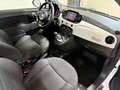 Fiat 500 1.0 70cav Hybrid CarPlay*TFT*ClimaAuto*Parktronic Bianco - thumbnail 13