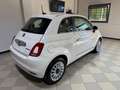 Fiat 500 1.0 70cav Hybrid CarPlay*TFT*ClimaAuto*Parktronic Bianco - thumbnail 3