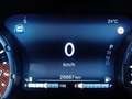 Jeep Renegade Renegade 1.5 Turbo T4 MHEV Limited Blu/Azzurro - thumbnail 10