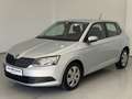 Skoda Fabia Active 1,0 Grau - thumbnail 4