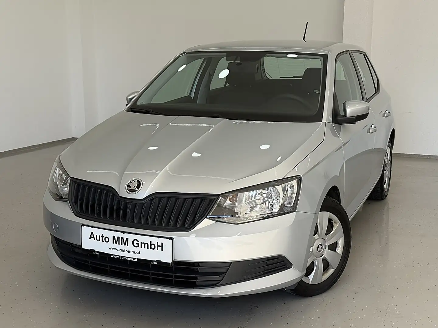 Skoda Fabia Active 1,0 Grau - 1