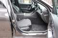 Mercedes-Benz C 200 C -Klasse T d Avantgarde/Kamera/LED Gris - thumbnail 9