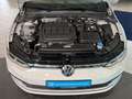 Volkswagen Golf VIII 2.0 TDI Life DSG Einparkhilfe Navi Weiß - thumbnail 17