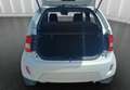Suzuki Ignis 1.2 HYBRID 83cv TOP *VARI*COLORI*PRONTA*CONSEGNA** Bianco - thumbnail 12