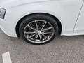 Audi A4 Avant 2.0 TDI 116g DPF Ambiente - thumbnail 4