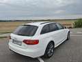 Audi A4 Avant 2.0 TDI 116g DPF Ambiente - thumbnail 7