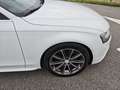 Audi A4 Avant 2.0 TDI 116g DPF Ambiente - thumbnail 8