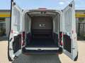 Ford E-Transit E-Transit Kasten DoKa 6-Sitze 67kWh/135kW L3H2 ... Blanco - thumbnail 27