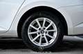Skoda Superb 2.0 TDI Ambition DSG Pickerl NEU Weiß - thumbnail 8