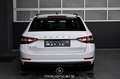 Skoda Superb 2.0 TDI Ambition DSG Pickerl NEU Weiß - thumbnail 4