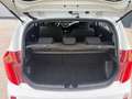 Kia Picanto 1.0 CVVT ISG Plus Pack DESIGN / AIRCO NAVIGATIE BL Blanc - thumbnail 18