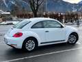 Volkswagen Beetle 1,2 TSI Weiß - thumbnail 3