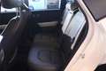 Kia Seltos 1.6 TGDI/DCT7/AWD/180 Weiß - thumbnail 18