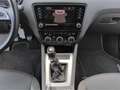 Skoda Octavia Combi TOUR 1.0TSI*Navi Tempo SHZ PDC Alu Grau - thumbnail 7