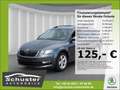 Skoda Octavia Combi TOUR 1.0TSI*Navi Tempo SHZ PDC Alu Grau - thumbnail 1
