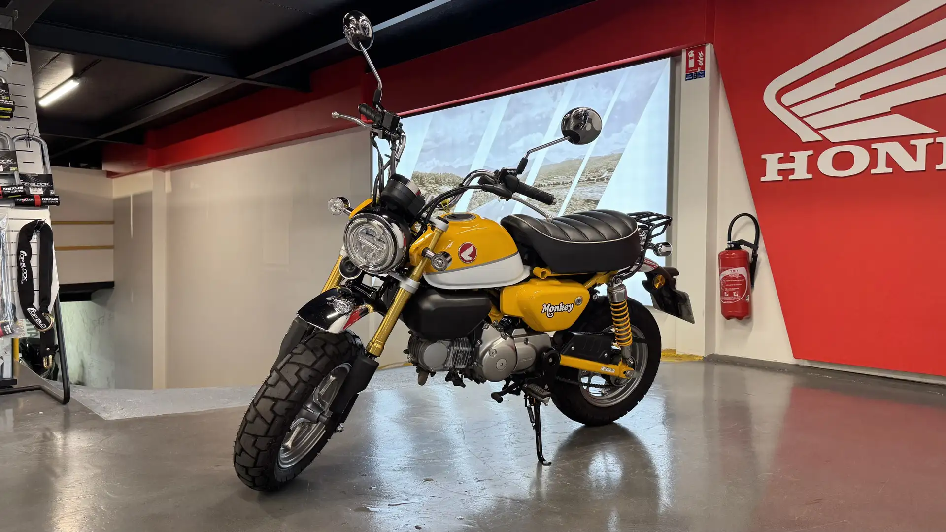 Honda Z 50 Giallo - 1