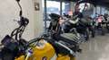 Honda Z 50 Giallo - thumbnail 8