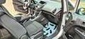 Ford B-Max B-MAX Trend KAMERA PDC Gris - thumbnail 15