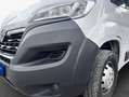 Opel Movano Movano 2.2 D L2H1 2WD VA Edition Weiß - thumbnail 5
