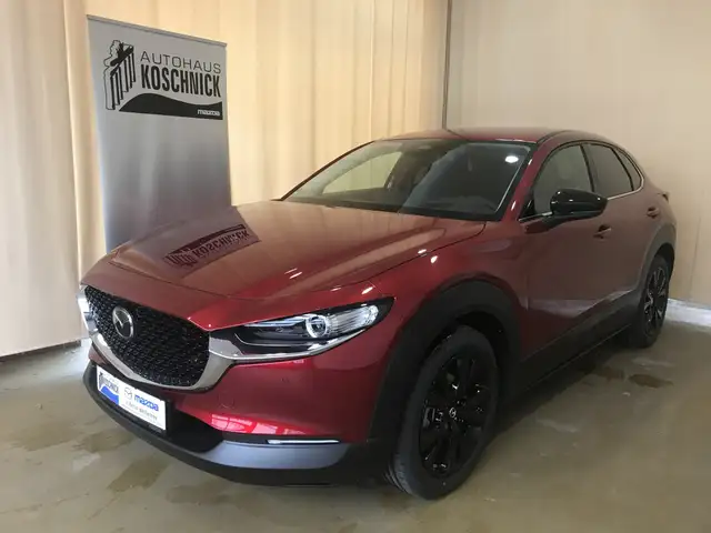 Mazda CX-30 2.5L e-SKYACTIV G 140ps 6AT FWD HOMURA