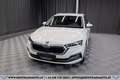 Skoda Octavia Combi 2,0 TDI Style DSG*AHK*1-BESITZ*LENKRADHEI... Weiß - thumbnail 2