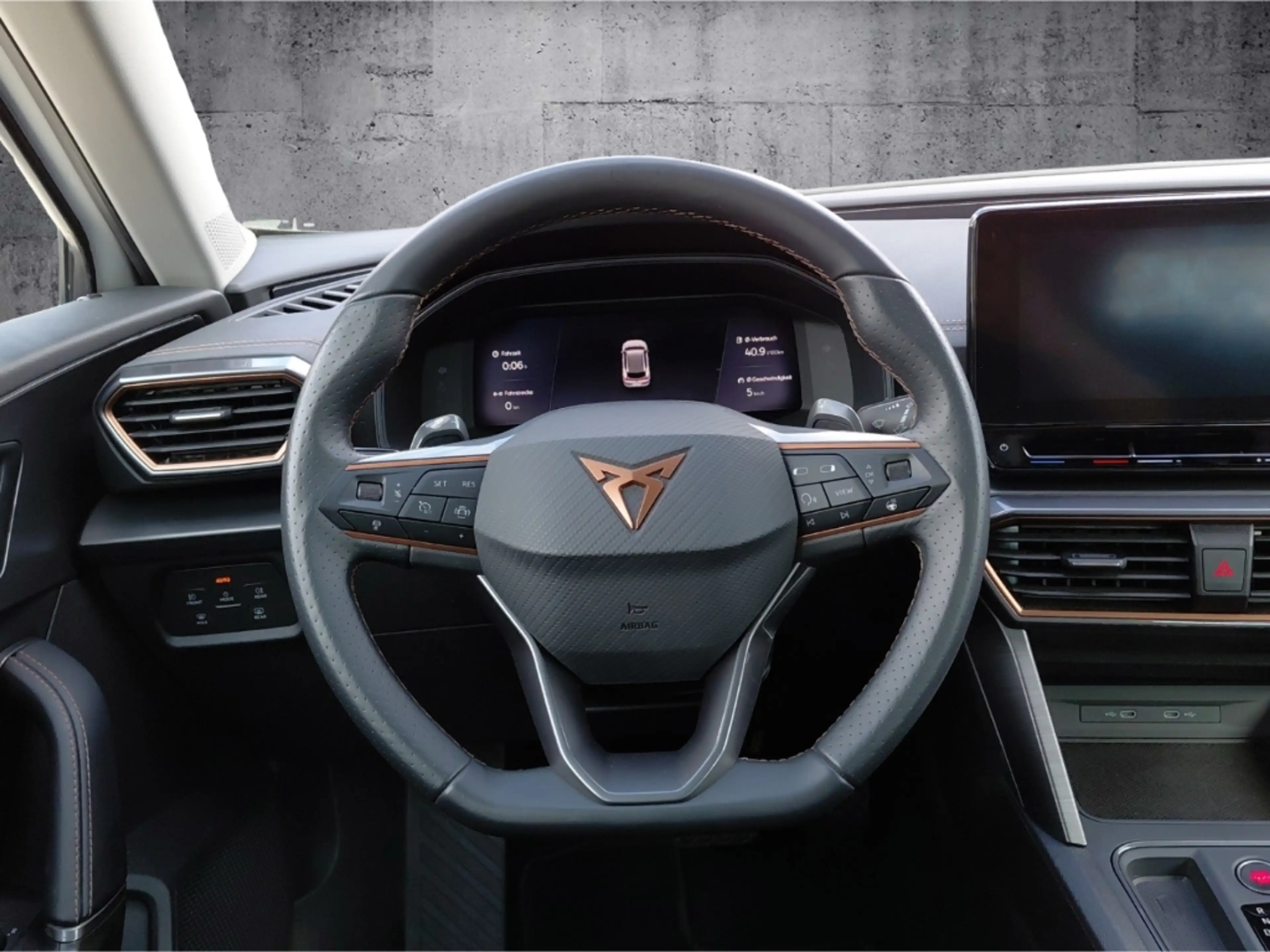 CUPRA Formentor 1.5 TSI DSG LED Full Link ACC PDC WP — photo 13