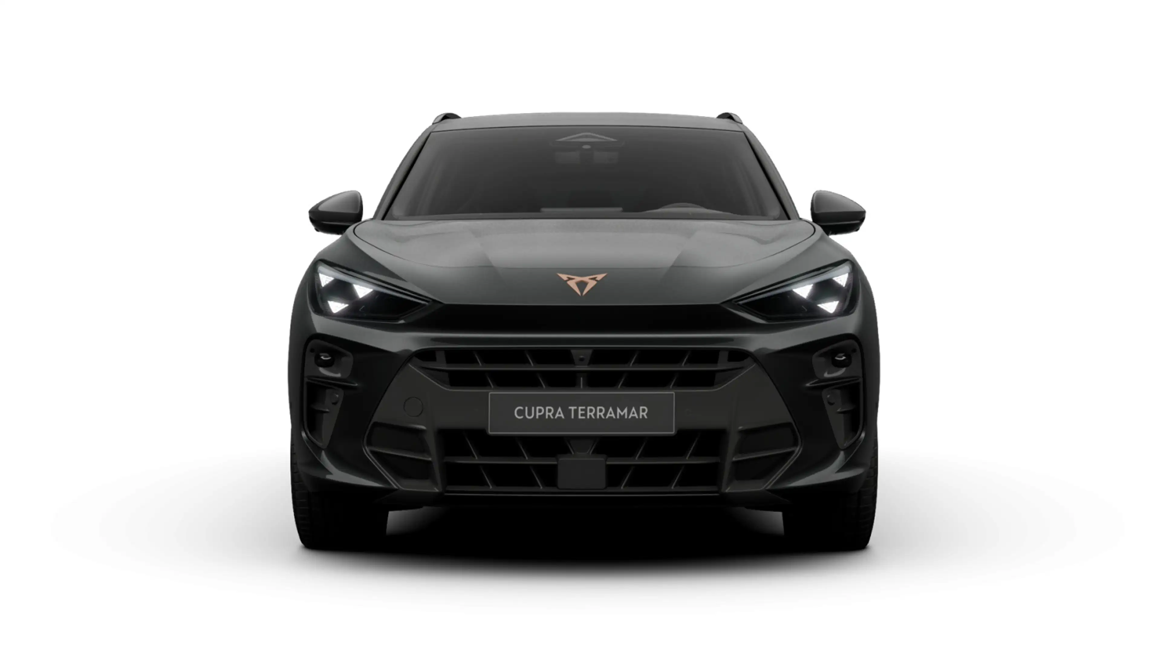 CUPRA Terramar 2.0 TSI DSG 4D VZ LM19 MATRIX HEAD-UP 3 — photo 3