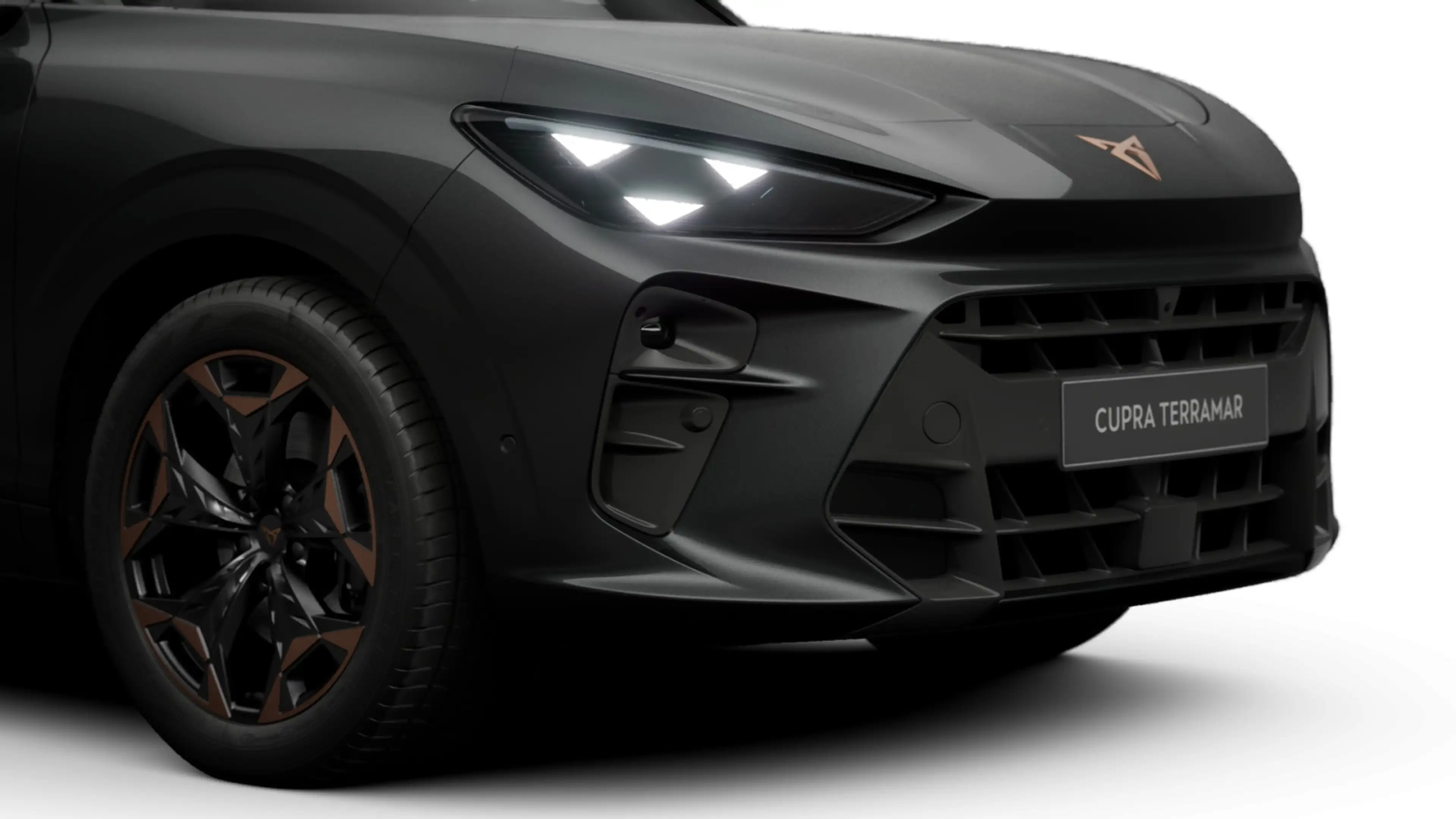 CUPRA Terramar 2.0 TSI DSG 4D VZ LM19 MATRIX HEAD-UP 3 — photo 8