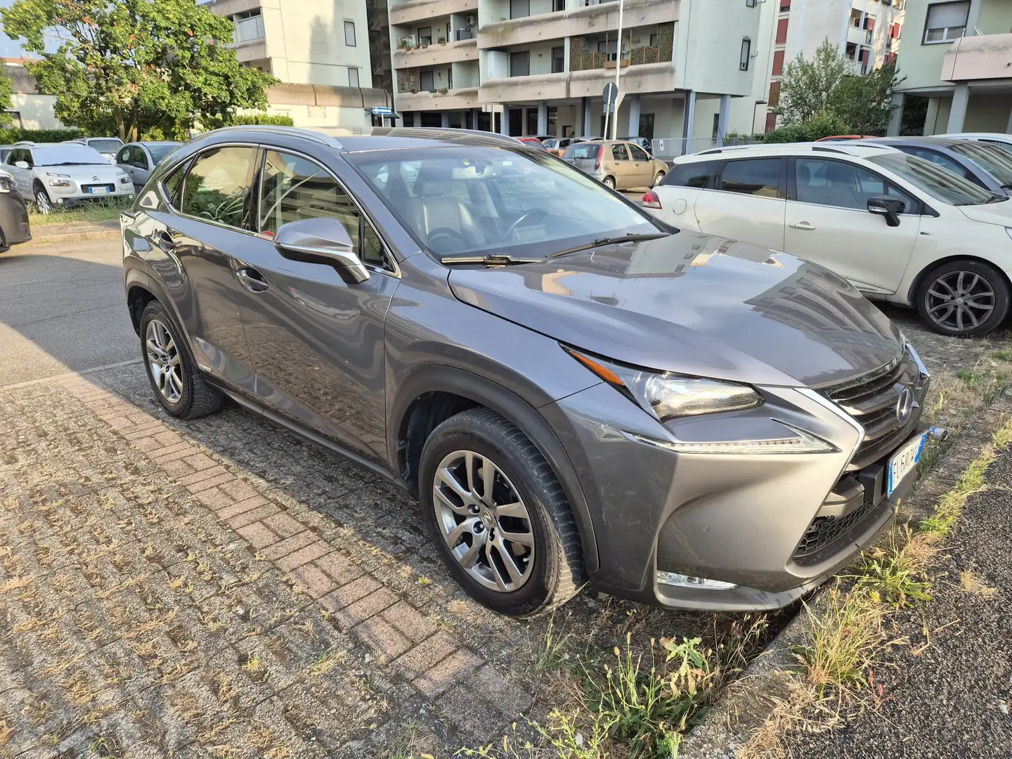 Lexus NX 300h - 1