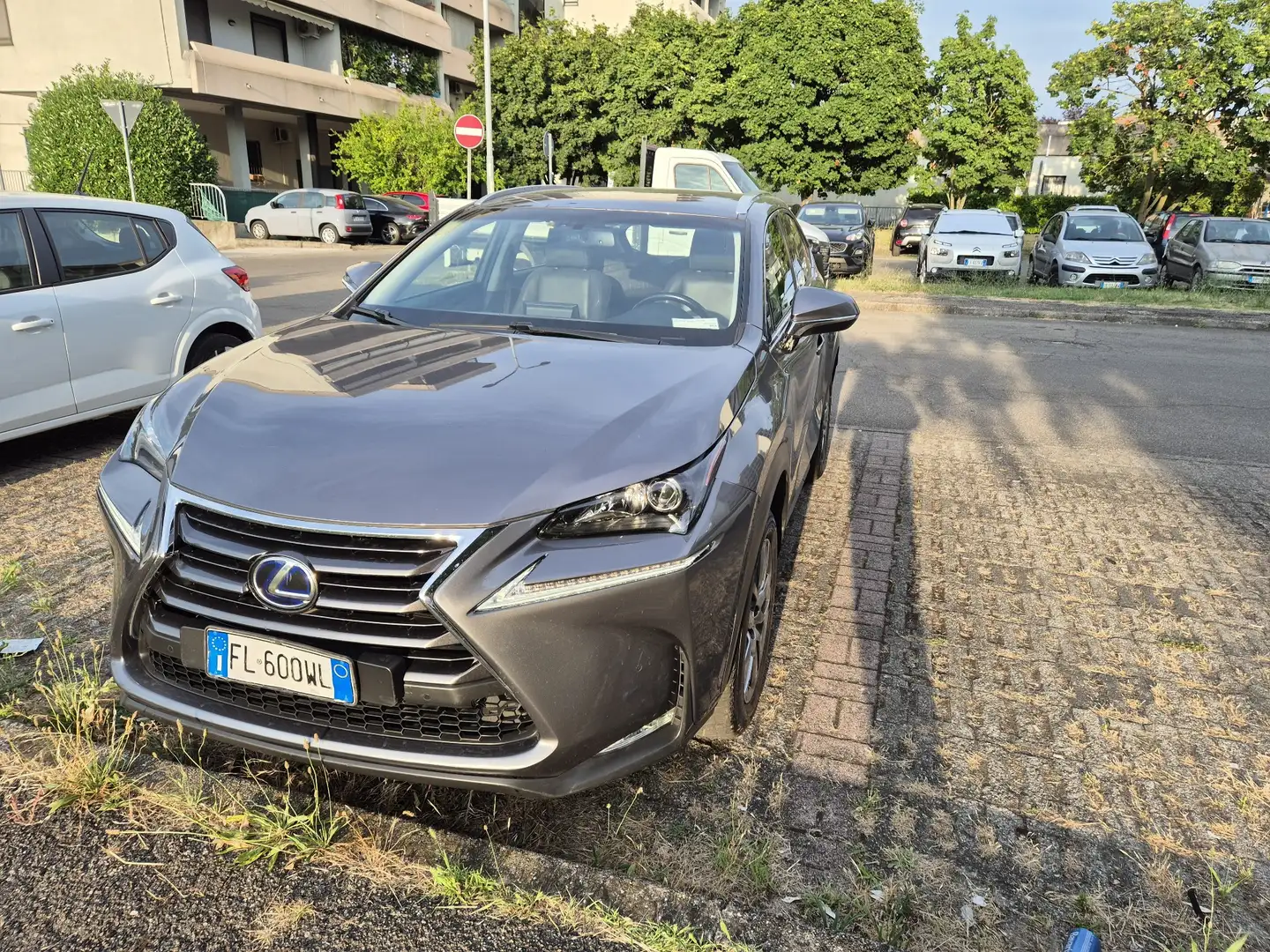 Lexus NX 300h - 2