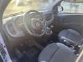 Fiat Panda 1.3 mjt 16v Easy s&s 95cv Grigio - thumbnail 7